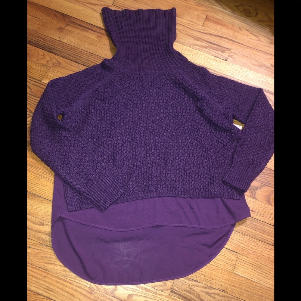 The Limited Sweater